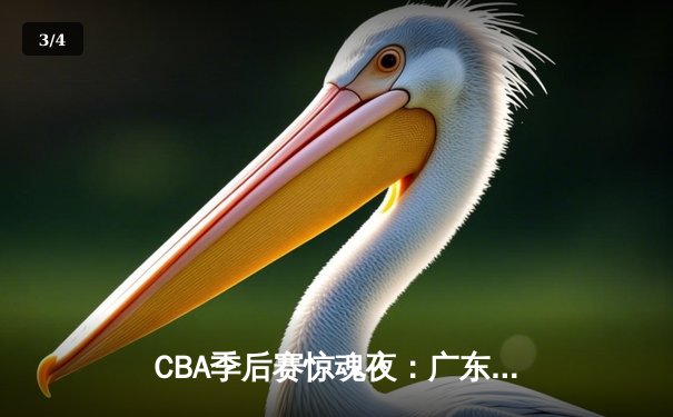 CBA季后赛惊魂夜：广东宏远逆转辽宁本钢，胡明轩30分主宰决胜时刻 - 3