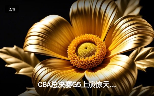 CBA总决赛G5上演惊天逆转 辽宁本钢加时险胜广东东莞大益夺赛点 - 2